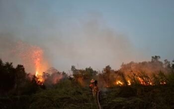 Karhutla Gambut Sulit Dijinakkan, Api Kembali Muncul di Desa Kujan 4 IMG 20260824 WA0093