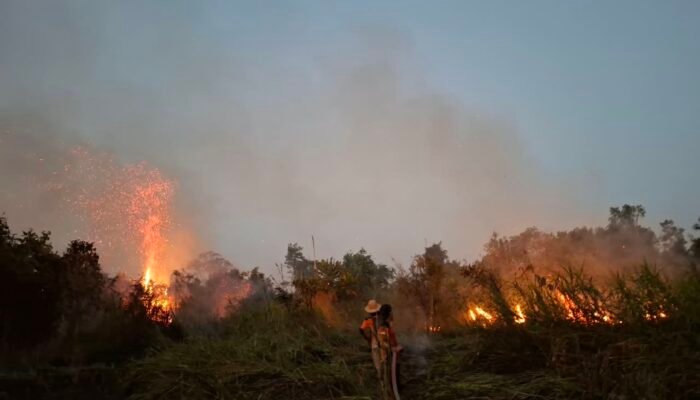 Karhutla Gambut Sulit Dijinakkan, Api Kembali Muncul di Desa Kujan
