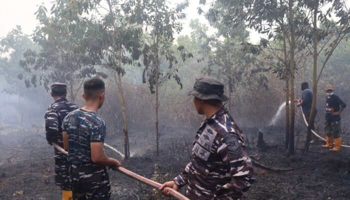 Respons Cepat, Lanal Banjarmasin Bersama Tim Gabungan Lokalisir Karhutla di Guntung Damar 3 IMG 20260825 WA0015