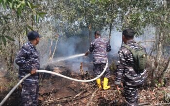 Respons Cepat, Lanal Banjarmasin Bersama Tim Gabungan Lokalisir Karhutla di Guntung Damar 4 IMG 20260825 WA0016