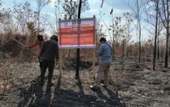 Enam Perusahaan Diberi Sanksi Kemenhut Sebabkan Karhutla Berulang di Kalimantan 4 IMG 20260825 WA0032