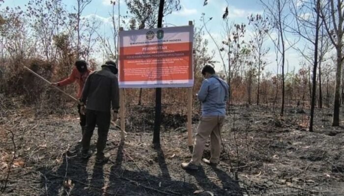 Enam Perusahaan Diberi Sanksi Kemenhut Sebabkan Karhutla Berulang di Kalimantan