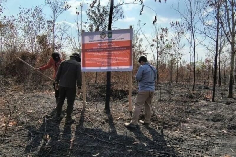 Enam Perusahaan Diberi Sanksi Kemenhut Sebabkan Karhutla Berulang di Kalimantan 1 IMG 20260825 WA0032 e1787635153932