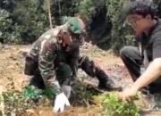 Tanam 100 Pohon Kopi, Babinsa Serka Sanu dan Mahasiswa ULM Dukung Penghijauan Meratus