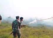 Tim Gabungan Padamkan Kebakaran Hutan dan Lahan di Desa Parumahan HST