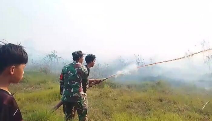 Tim Gabungan Padamkan Kebakaran Hutan dan Lahan di Desa Parumahan HST