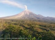 Selama Enam Jam Gunung Semeru Alami 21 Kali Gempa Letusan