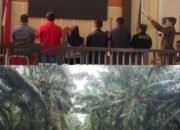 Sidang Perdana Kasus Pencurian Sawit PT PKIS, Terdakwa Mengaku Bersalah dan Ungkap Dugaan Keterlibatan Pihak Lain