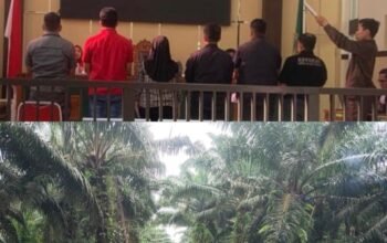 Sidang Perdana Kasus Pencurian Sawit PT PKIS, Terdakwa Mengaku Bersalah dan Ungkap Dugaan Keterlibatan Pihak Lain