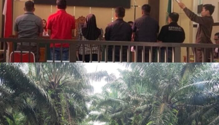 Sidang Perdana Kasus Pencurian Sawit PT PKIS, Terdakwa Mengaku Bersalah dan Ungkap Dugaan Keterlibatan Pihak Lain