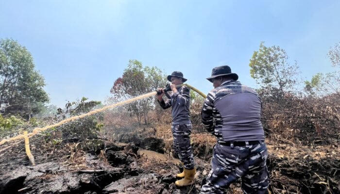 Dankodaeral XIII Tinjau Langsung Lokasi Karhutla Di Kabupaten Banjar