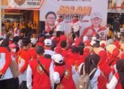 Hanura Kalsel Bidik Kursi DPR RI