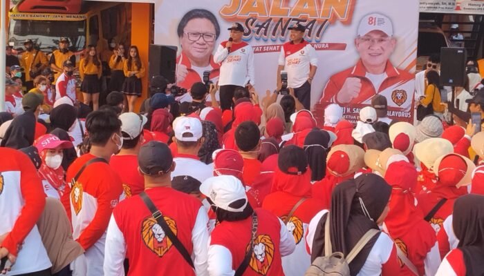 Hanura Kalsel Bidik Kursi DPR RI