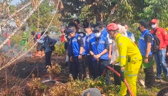 KLH Tegas Tindak Puluhan Pembakar Hutan, 42 Perusahaan di Kalimantan Terindikasi