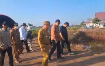 Karhutla Kalsel Dipicu Iklim, Mayoritas Disebabkan Ulah Manusia 4 IMG 20260824 215948