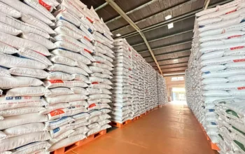 Menuju Target 4 Juta Ton, Serapan Beras Domestik BULOG Sudah Tembus 87% 4 beras bulog