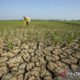 El Nino di Kalsel Hingga Februari 2027