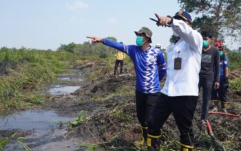 Bupati Tinjau Penanganan Karhutla di Sungai Sipai 5 4 MTP2
