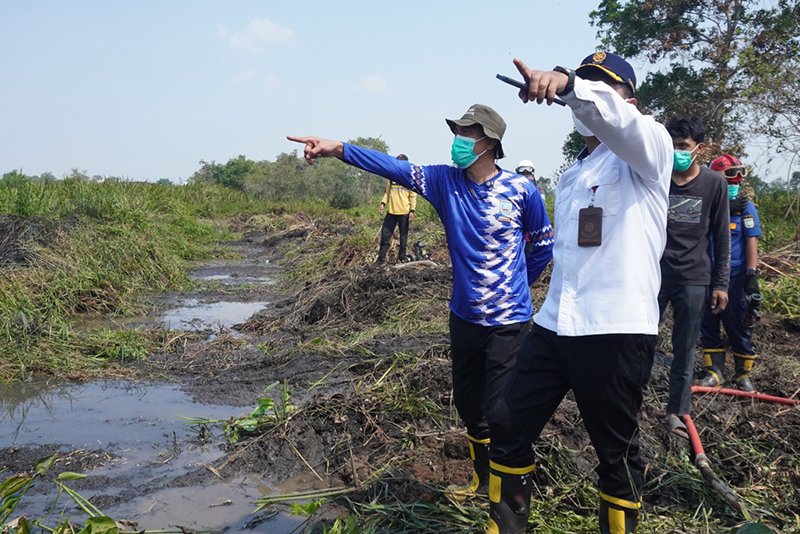 Bupati Tinjau Penanganan Karhutla di Sungai Sipai 1 4 MTP2