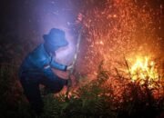 BNPB Sebut Titik Panas Karhutla Meningkat di Tiga Provinsi Kalimantan