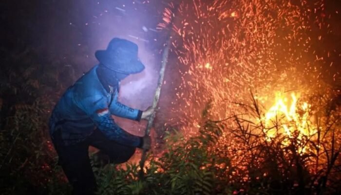 BNPB Sebut Titik Panas Karhutla Meningkat di Tiga Provinsi Kalimantan