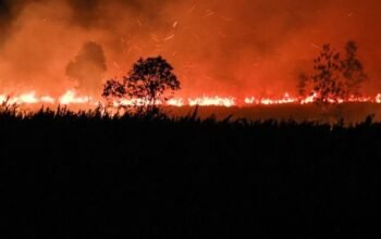 Sebanyak 23 Orang Ditetapkan Polda Kalteng Sebagai Tersangka Kasus Karhutla 4 IMG 20260901 WA0060