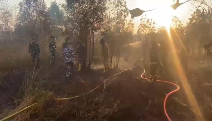 Bahaya Asap Karhutla Setara Merokok 950 Batang Sehari, Ini Hitungan Lulusan ITB