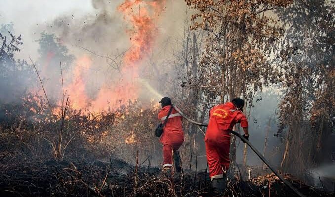 Gubernur Kalteng Warning Perusahaan Terbukti Bakar Lahan, Izin Usaha Perkebunan Sawit akan Dicabut