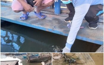 Tuba Ikan Diduga Cemari Sumber Air PDAM, 29.000 Pelanggan di Lamandau Terdampak 4 IMG 20260906 WA00241