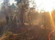 Gubernur Muhidin Cek Hutan Lindung Liang Anggang