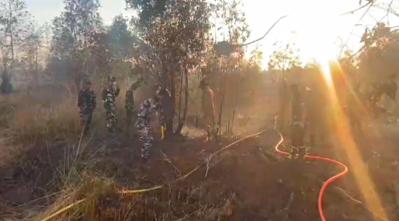 Gubernur Muhidin Cek Hutan Lindung Liang Anggang 1 IMG 20260901 212658 e1788269305172